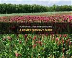 How Do You Use Simazine?
