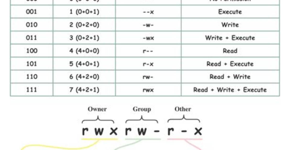 How Do You Write Code in Linux?