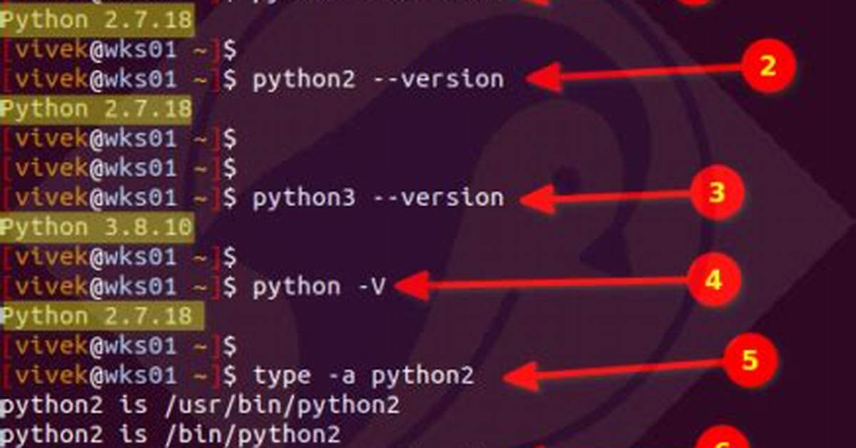 How Do You Write Unix in Python?