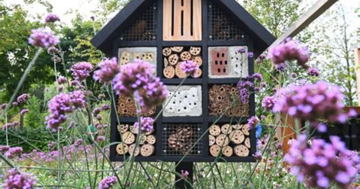 How Does a Bug House Work