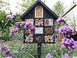 How Does a Bug House Work