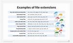 How Does a Computer Know the Extension of a File