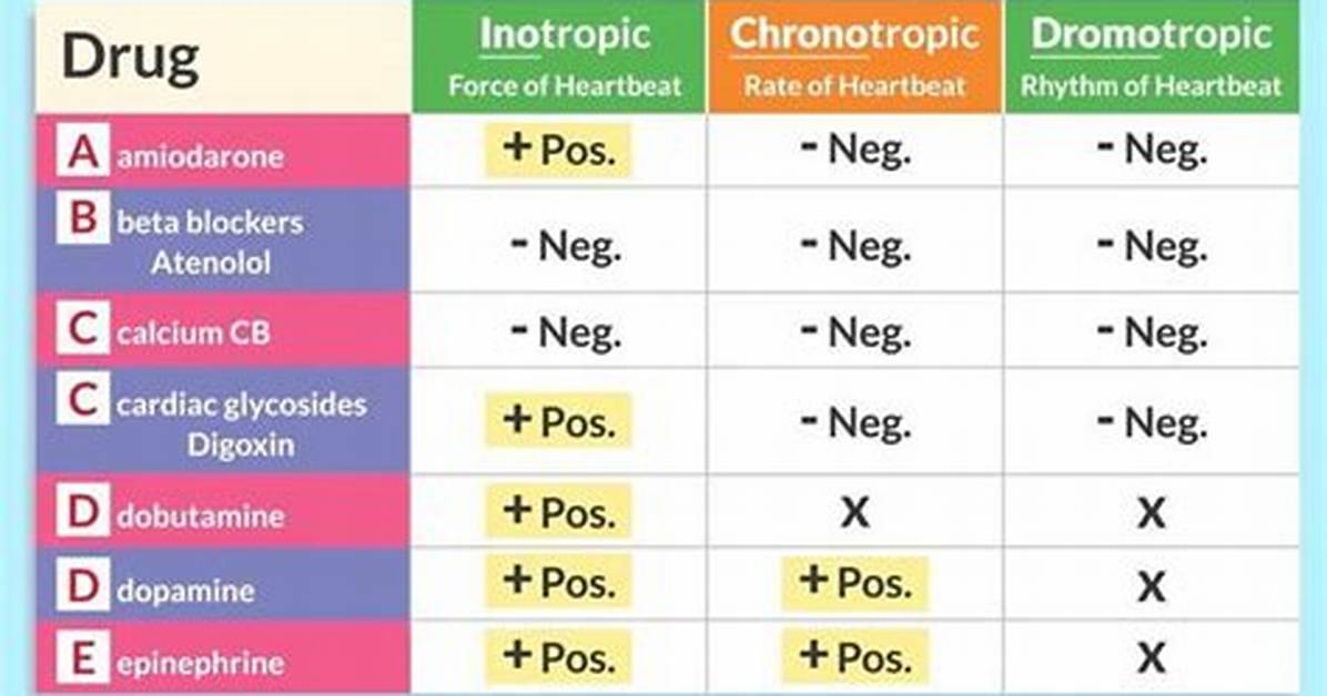 How Does a Dromotropic Work?