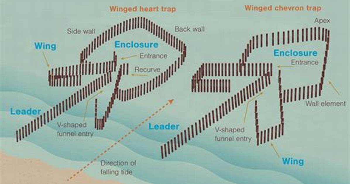 How Does a Fish Weir Work