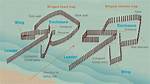 How Does a Fish Weir Work