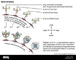 How Does a Gyro Compass Work?