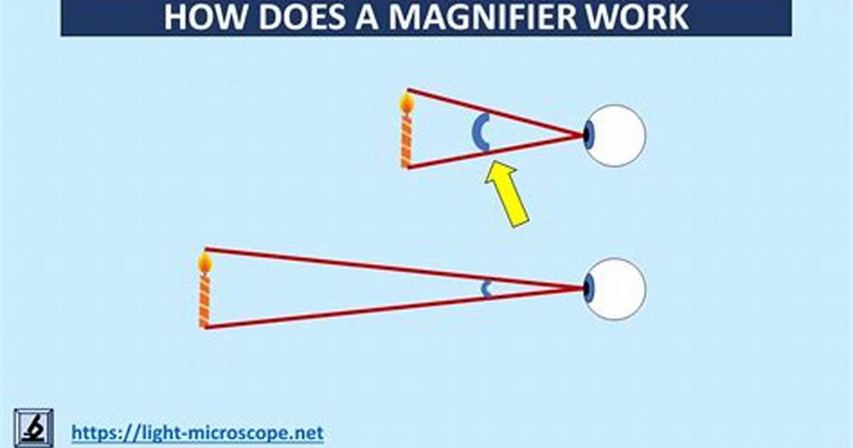 How Does a Magnifier Work