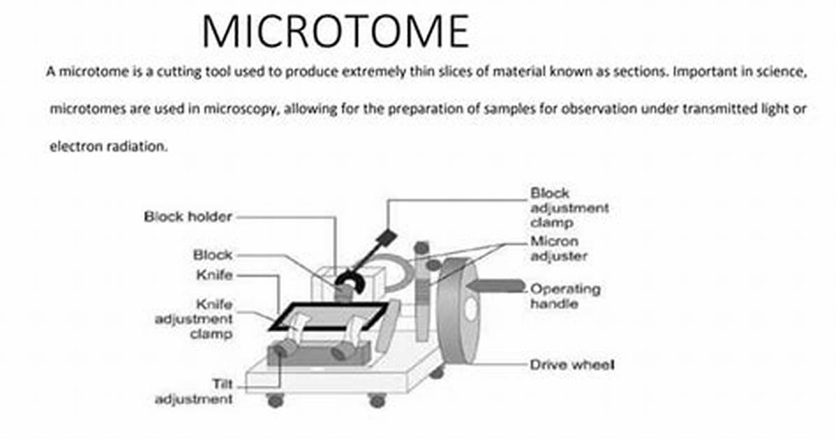 How Does a Microtome Work