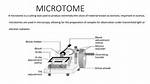 How Does a Microtome Work