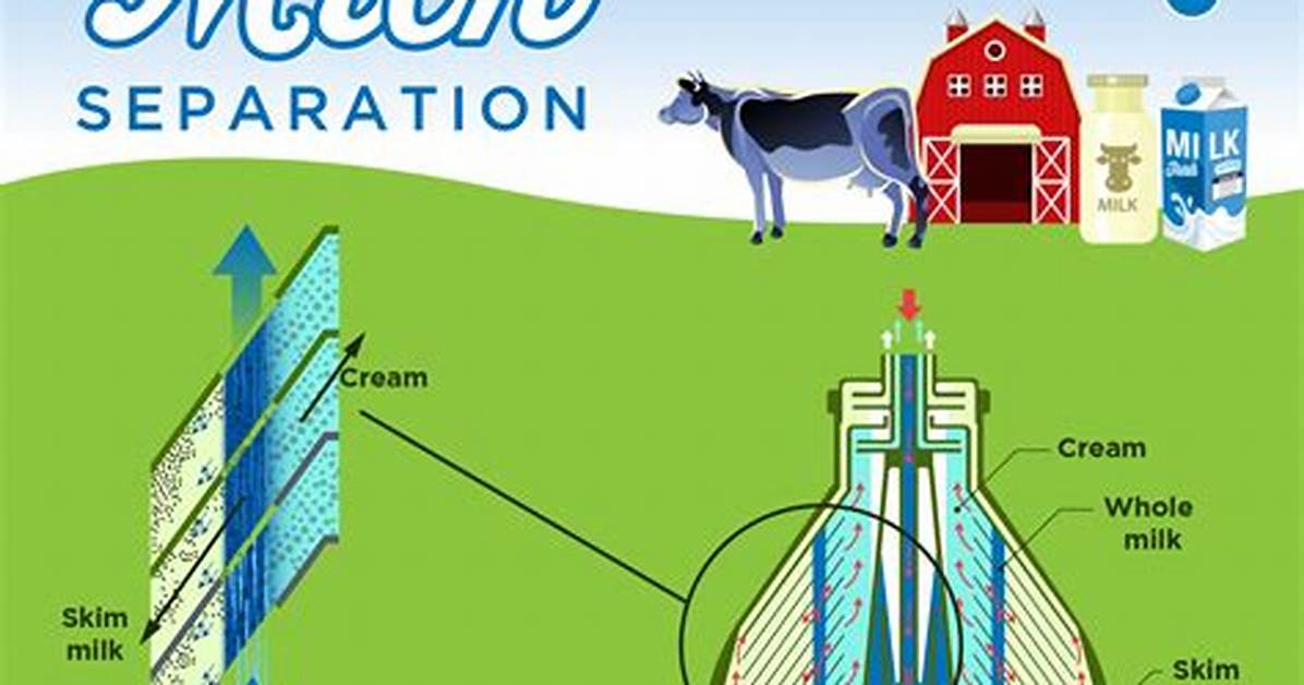 How Does a Milk Separator Work?