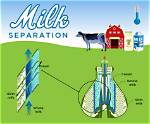 How Does a Milk Separator Work?