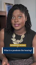 How Does a Pendente Lite Hearing Work?