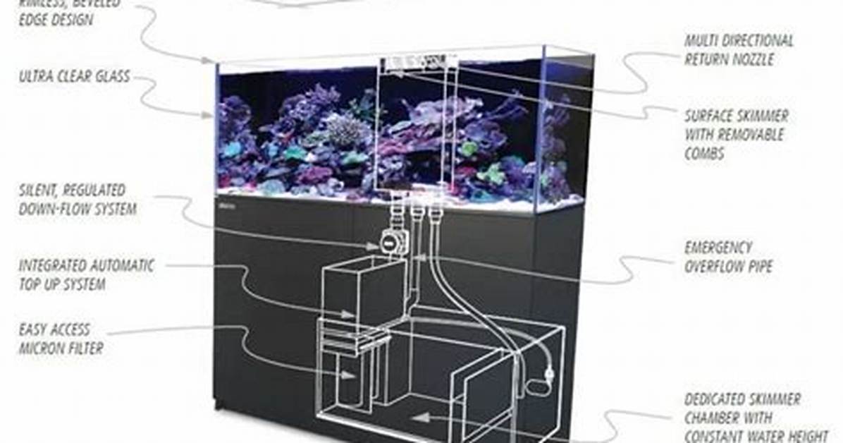 How Does a Reef Sump Work