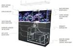 How Does a Reef Sump Work