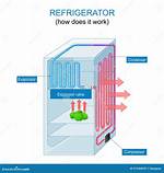 How Does a Refrigerator Work