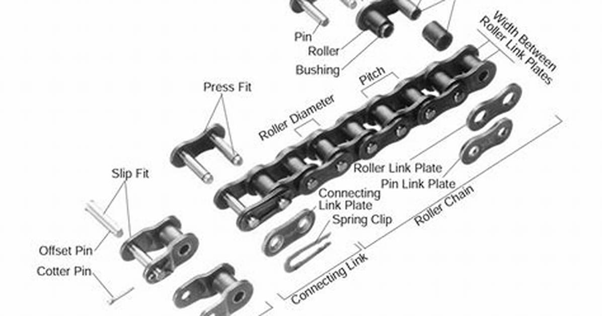 How Does a Roller Chain Work?