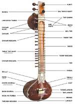 How Does a Sitar Work?