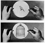 How Does a Thaumatrope Work?