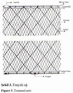 How Does a Trammel Net Work?