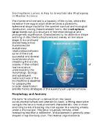 How Does a Trochophore Work?