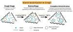 How Does Acid Affect Gelatinization?
