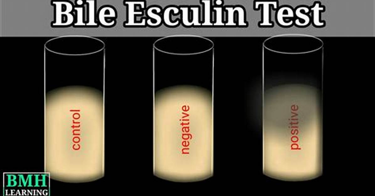 How Does Aesculin Work?