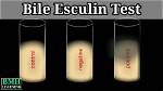 How Does Aesculin Work?