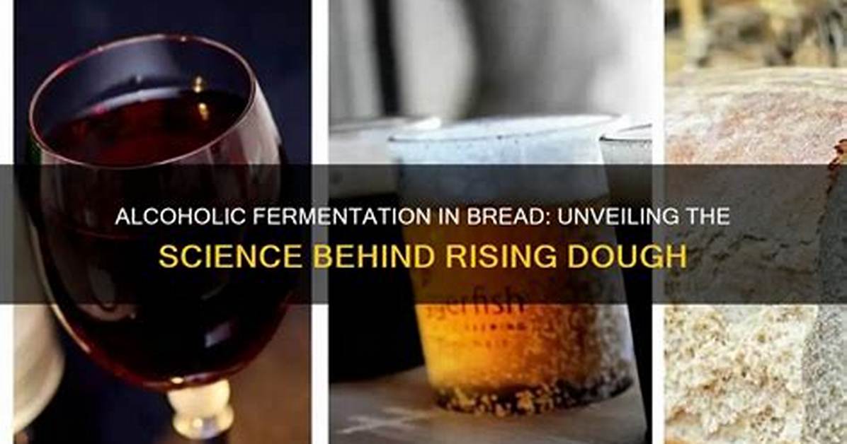How Does Alcoholic Fermentation Make Bread