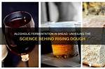 How Does Alcoholic Fermentation Make Bread