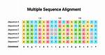 How Does Aligning Sequences Work?