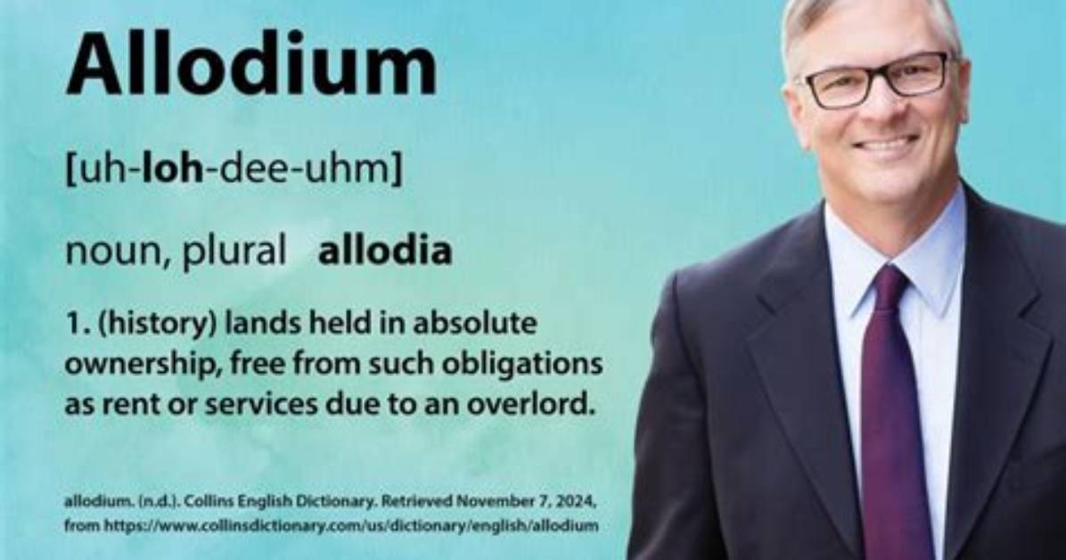 How Does Allodium Work?