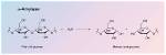 How Does Alpha Amylase Work?