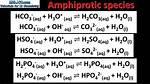 How Does Amphiprotic Substances Work?