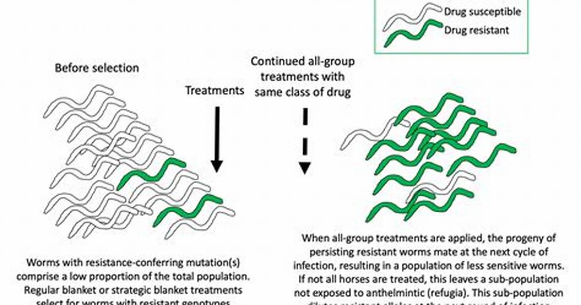 How Does Anthelmintic Resistance Develop?