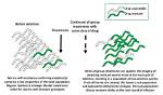 How Does Anthelmintic Resistance Develop?