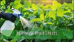 How Does Aphid Spray Work?