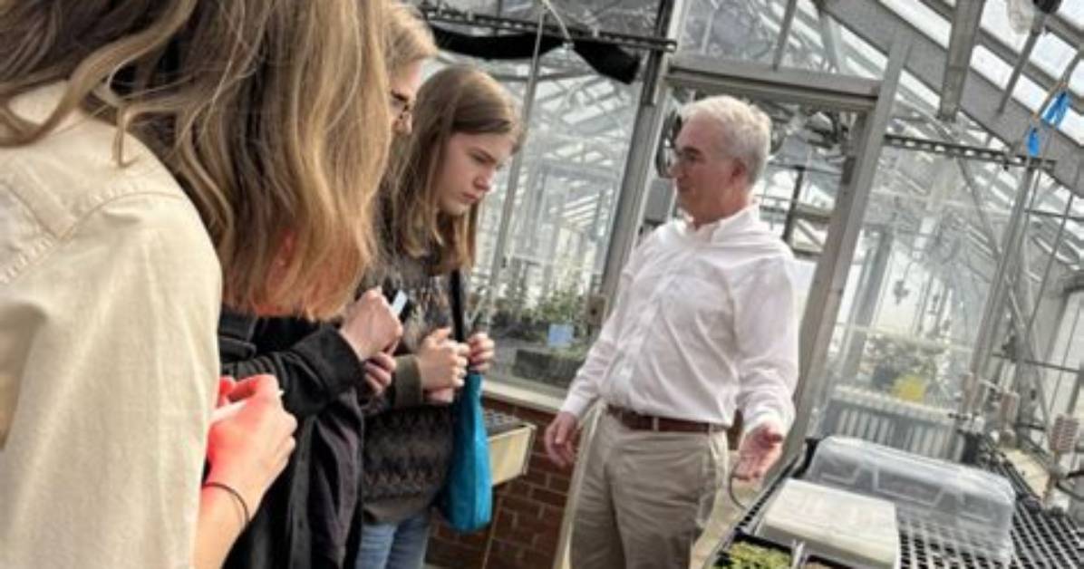 How Does Arboretum Work?