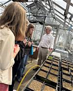 How Does Arboretum Work?