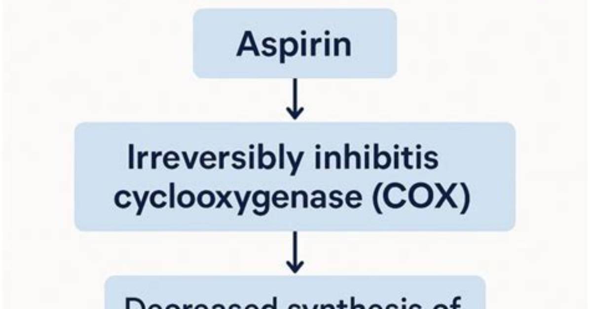 How Does Aspirin Work?