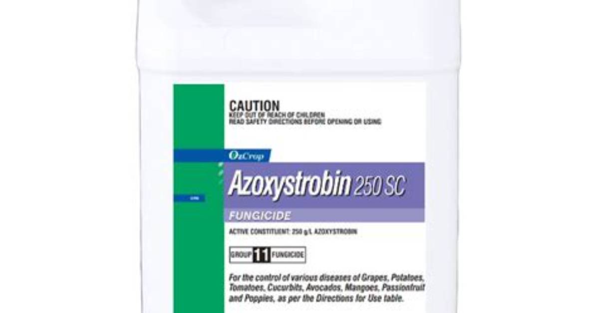 How Does Azoxystrobin Work?