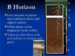 How Does B Horizon Form?