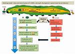 How Does Bacillus Thuringiensis Work?