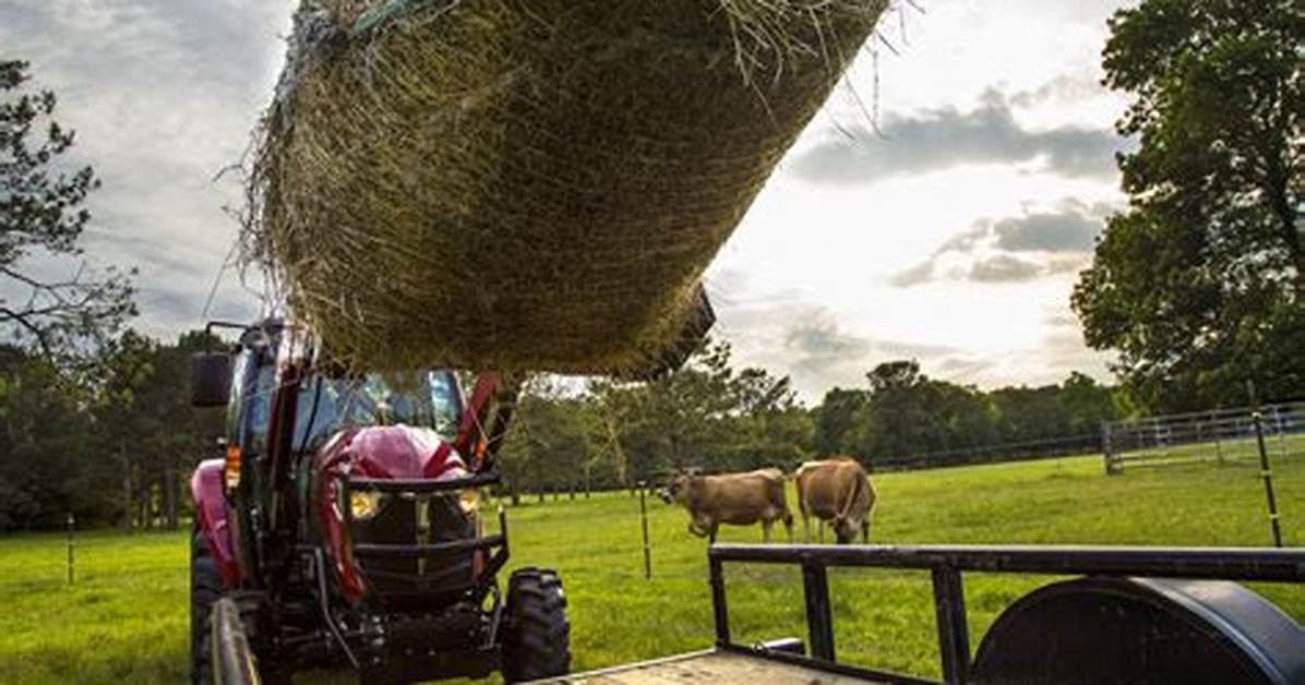 How Does Baling Hay Work?