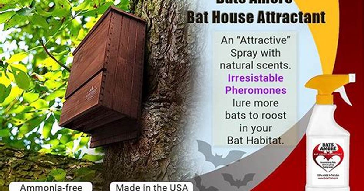 How Does Bat Attractant Work?