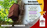 How Does Bat Attractant Work?