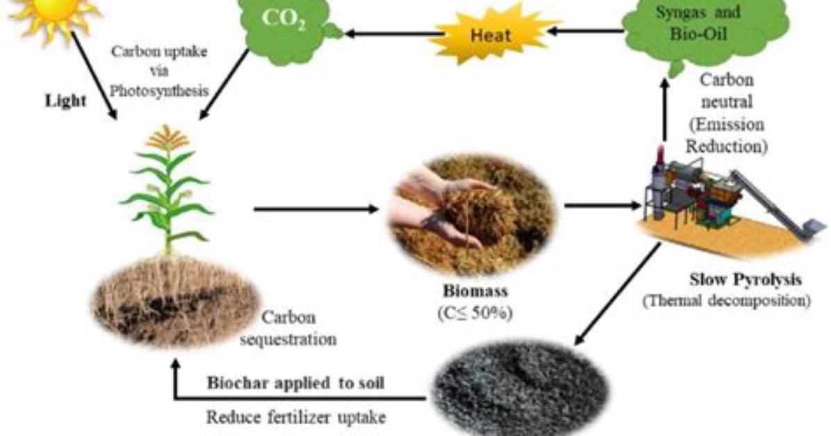 How Does Biochar Sequester Carbon?