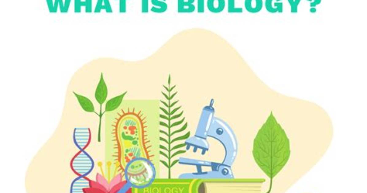 How Does Biology Work?