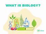 How Does Biology Work?