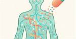 How Does Bombesin Work?