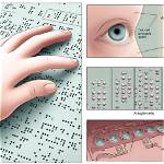 How Does Braille Work?